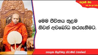 මෙම මෙම ජීවිතය තුළම නිවන් අවබෝධ කර කරගැනීමට.408Ven Hasalaka Seelawimala Thero