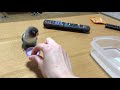 キャップを投げて遊ぶインコ【ボタンインコのぶーちゃん】