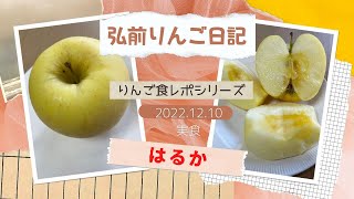 はるか /青森のりんごの品種を食べ比べ【弘前りんご日記YouTube版】