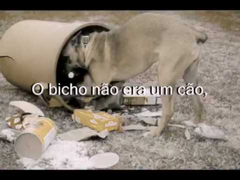 Manuel Bandeira: O Bicho - YouTube