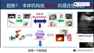 机器人技术迭代进化：2024进度图谱详解