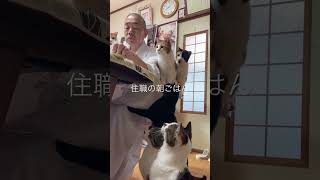 住職の朝ごはん。猫背が一瞬だけピーンとなるw