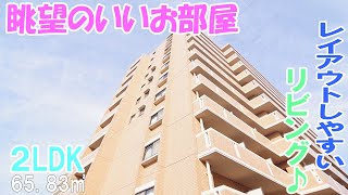 陽当たりのいい おしゃれな部屋 二人暮らし ２ｌｄｋ賃貸マンション