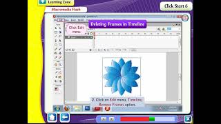macromedia flash