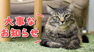 今後の動画更新について大事なお知らせ