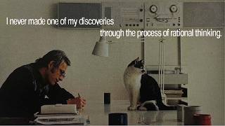 Career Planning Is A Trap