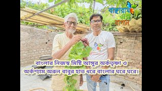 বাংলার মিষ্টি আঙ্গুর অরুণ বাবুর হাত ধরে বাংলার ঘরে ঘরে/ছাদে মিষ্টি আঙ্গুর চাষ/@Banchharamerbagan