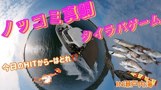 ノッコミ真鯛🎣タイラバゲーム1人爆釣🤣【瀬戸内海】