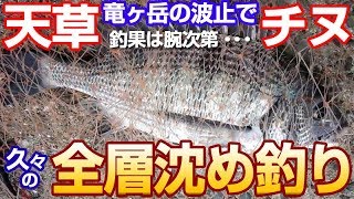 9月下旬のチヌフカセ釣り（黒鯛全層沈め釣り） 活性は高いが…　｜　Fishing black snapper from levee in late September.