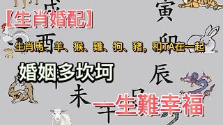 【生肖婚配】生肖馬、羊、猴、雞、狗、豬，和TA在一起，婚姻多坎坷，一生難幸福