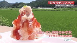 8種類のかき氷を食べ比べ 「トマトのかき氷」のお味は？ 佐川町で「かき氷街道」スタート【高知】　 (21/07/20 19:30)