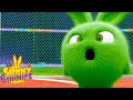 Annoying Hopper | SUNNY BUNNIES | Cartoons for Kids | WildBrain Zoo