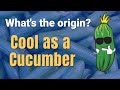 Cool as a Cucumber Meaning - Idiom Examples and Origin