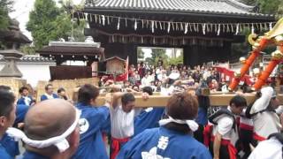 ミナージュTV 伏見 地域動画　平成27年度　御香宮神幸祭　神輿巡行vol.2