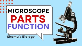 Microscope parts and functions in Hindi | Parts of a microscope