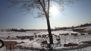 冬天的正确打开方式，郊外雪地徒步