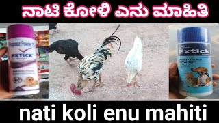 ನಾಟಿ ಕೋಳಿ ಎನು ಮಾಹಿತಿ/nati koli enu mahiti🐓👌