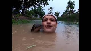 Man greeted by Otter Pup in the water