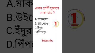 Gk question in bengali||quiz video in bangla||#shorts