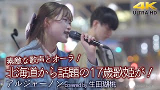 【 歌うま 】北海道から話題の17歳歌姫が！素敵な歌声とオーラでした！  アルジャーノン / ヨルシカ（ covered by 生田瑚桃 ）4K映像