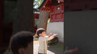 【スマホ動画\u0026スライドショー】七五三出張撮影｜動画出張撮影｜根津神社｜文京区｜五歳七五三｜写真EOS5Dmark4\u00263｜動画iPhone13proMax\u0026iPhone11｜七五三VLOG