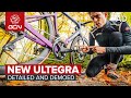 NEW Shimano Ultegra R8100 First Look!