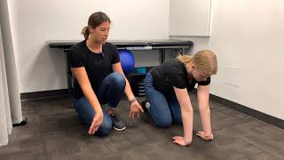 Kneeling Wrist Stretch