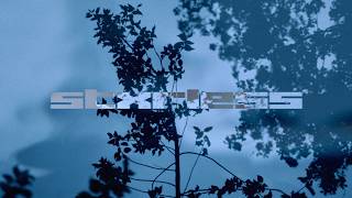 stxrless - Gravity