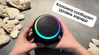 Беспроводная колонка GoGadget CityWave Pro (PS002)