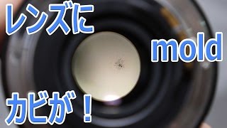 カビの生えたレンズの写り Photo of moldy lens