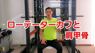 【ローテーターカフと肩甲骨】肩インナーマッスルトレーニングと肩甲骨のポジションについて