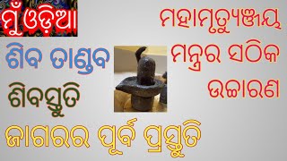 #muodia  ମହାମୃତ୍ଯୁଞ୍ଜୟ ମନ୍ତ୍ରର ସଠିକ୍ ଉଚ୍ଚାରଣ ॥ ଶିବ ତାଣ୍ଡବ ॥ ଶିବସ୍ତୁତି ॥ ଜାଗରର ପୂର୍ବ ପ୍ରସ୍ତୁତି ॥