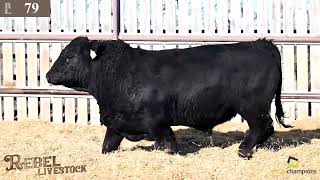 Lot 79 Rebel Livestock Ltd. March 2, 2024.