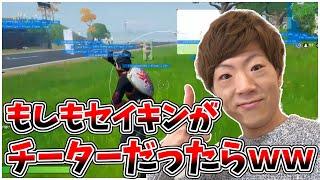 もしもセイキンがチートを使っていたらｗｗｗ【フォートナイト/fortnite】【セイキン】