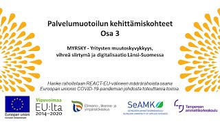 Palvelumuotoilun kehittämiskohteet osa 3: Systeeminen ja strateginen taso