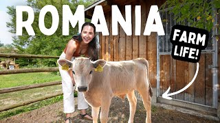 LIFE ON A ROMANIAN VILLAGE FARM (The Romania You've Never Seen)