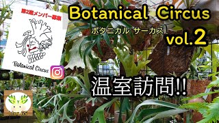 【潜入!!】ビカクシダ見せてもらいました🌱