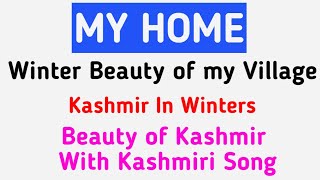 Beauty of Nargistan | Beauty of Kashmir | JKP Smart |Tral Beauty with Kashmir Song|