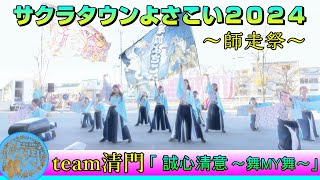 team清門 - 誠心清意 ～舞ＭＹ舞～ [2024.12.01 サクラタウンよさこい2024 ～師走祭～]