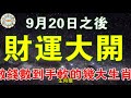 9月20日之後財運大開，數錢數到手軟的生肖 十二生肖