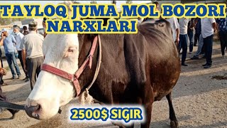 Tayloq juma mol bozori narxlari 16 08 20 ??