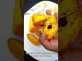 egg fruit