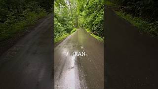 #کلیپ دیدنی از کشور #ایران #clip #cow #therian #nature #tiktok #youtube #youtubeshorts #iran