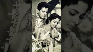 waheeda rehman🥰dilip kumar song 💯best❣️#shorts #short #mohammedrafi #latamangeshkar #viral #rrm #hit