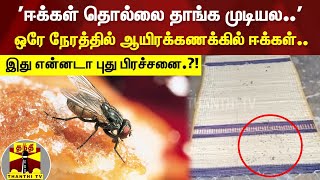 இது என்னடா புது பிரச்சனை.?! 'ஈக்கள் தொல்லை தாங்க முடியல..' ஒரே நேரத்தில் ஆயிரக்கணக்கில் ஈக்கள்..