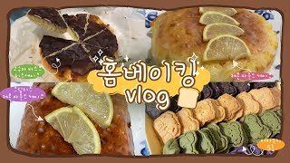 [홈베이킹 브이로그] 감딸기가 되고픈 베이킹 초보의 홈베이킹 vlog | 고구마 바스크 치즈케이크 | 버터쿠키 | 레몬 파운드 케이크