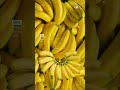 Falling bananas