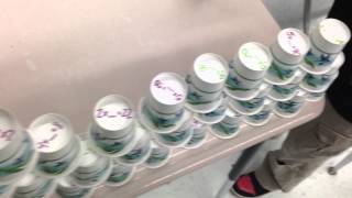 Math center (multiplication facts part 2)