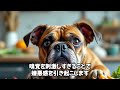 犬が苦手な匂いトップ5 犬 雑学