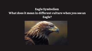 Eagle Symbolism What does it mean in different culture when you see an Eagle